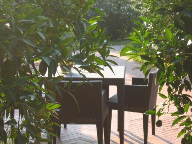 Al Melograno - Room & Breakfast Bolonia Exterior foto